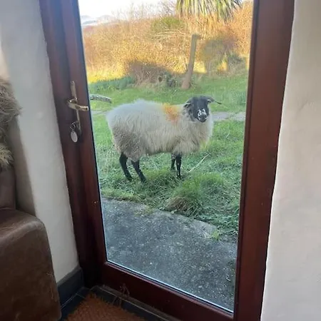 Canfee Holiday home Killarney