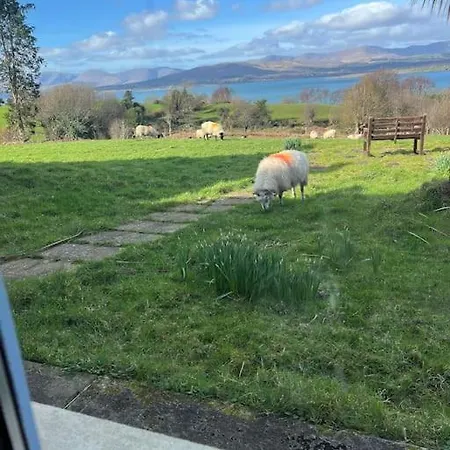 Canfee Killarney